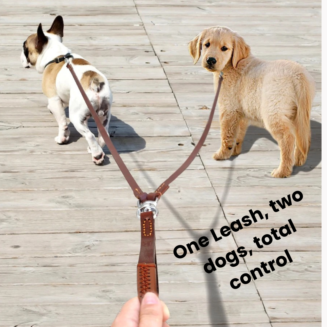 Genuine Leather Double Dog Leash Coupler – Anti-Tangle Dual Lead for Walking Two Dogs