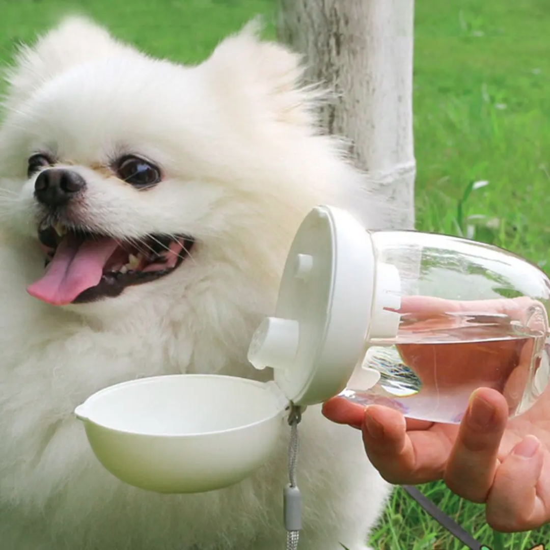 Portable Pet Water Bottle for Dogs & Cats – Leakproof Travel Cup with Lanyard (300ml / 550ml)