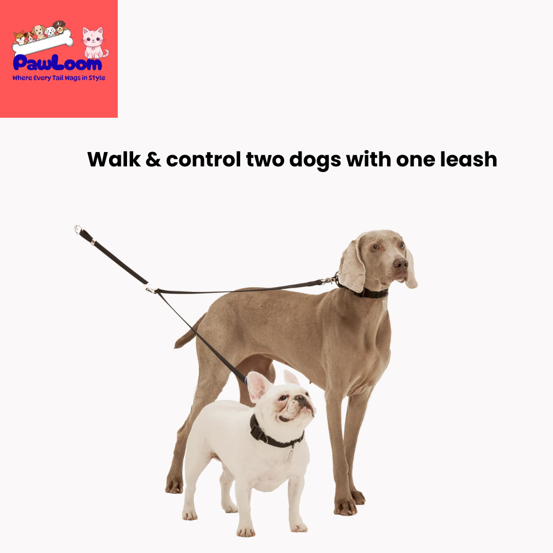 Genuine Leather Double Dog Leash Coupler – Anti-Tangle Dual Lead for Walking Two Dogs