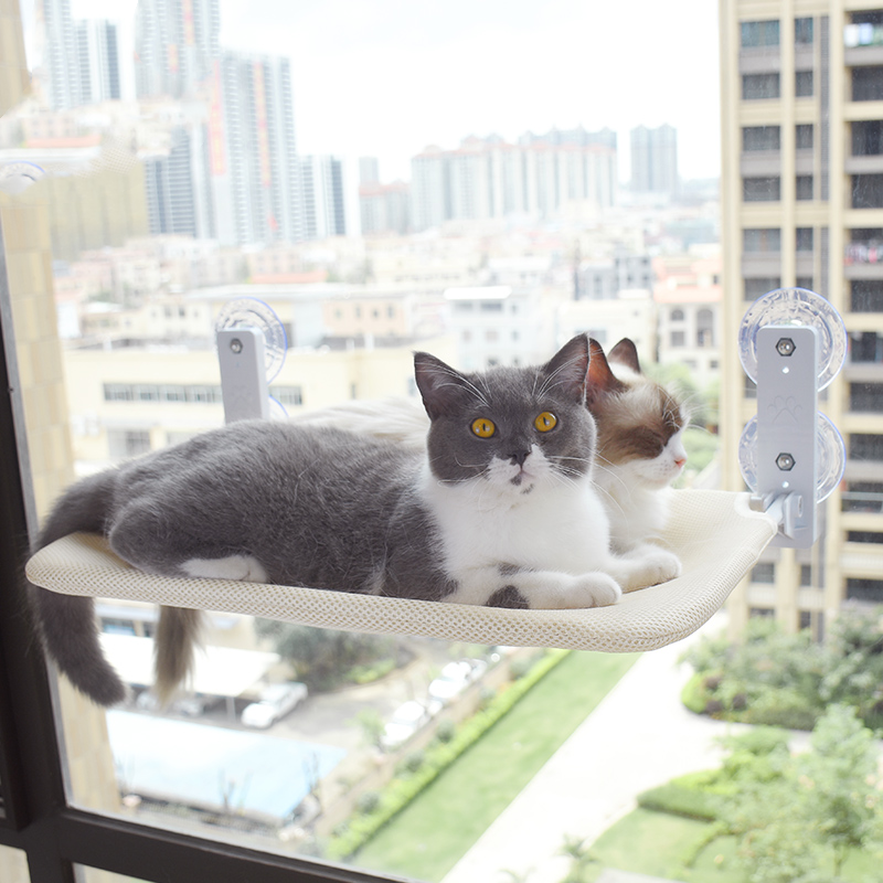 Cat Window Hammock – Suction Cup Perch for Indoor Cats (Breathable Mesh & Plush Options)