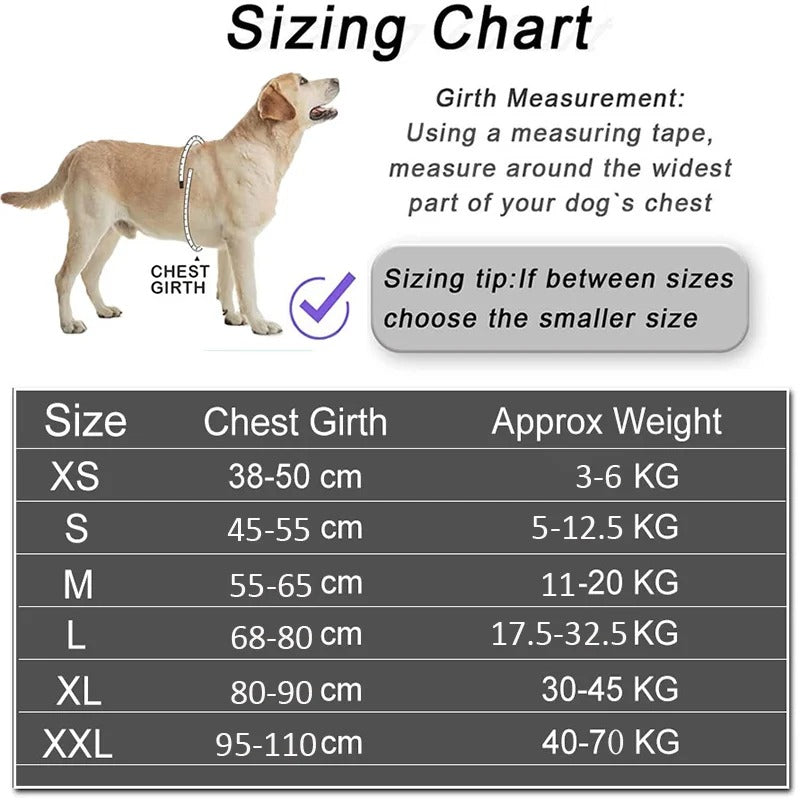 Personalized Reflective Dog Harness - No Pull Adjustable Pet Vest for Small to Large Dogs