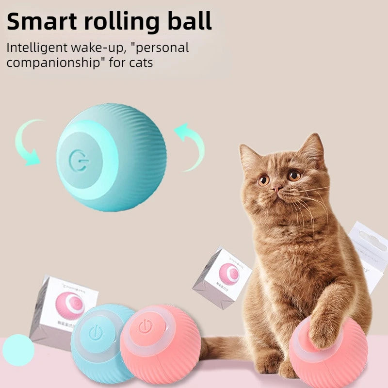 Smart Motion Cat Toy Ball – Rechargeable Interactive Ball for Indoor Play