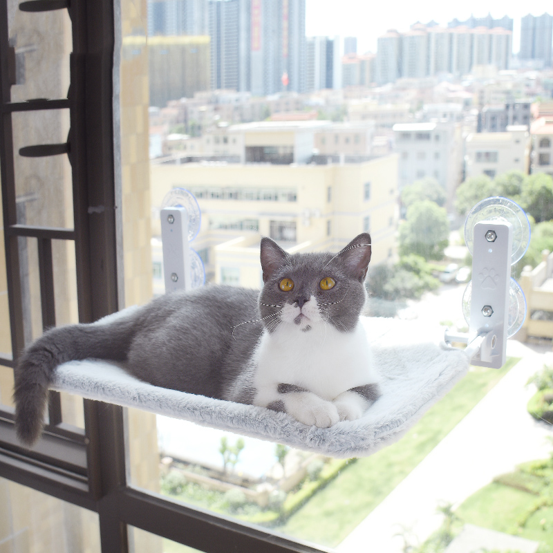 Cat Window Hammock – Suction Cup Perch for Indoor Cats (Breathable Mesh & Plush Options)