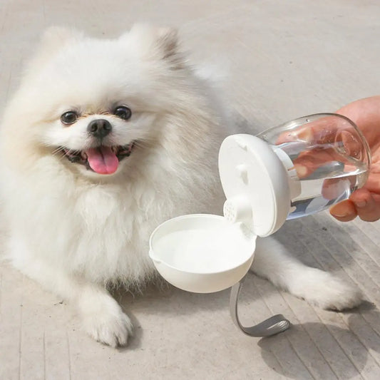 Portable Pet Water Bottle for Dogs & Cats – Leakproof Travel Cup with Lanyard (300ml / 550ml)